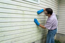 Best Fiber Cement Siding Installation  in Bad Axe, MI